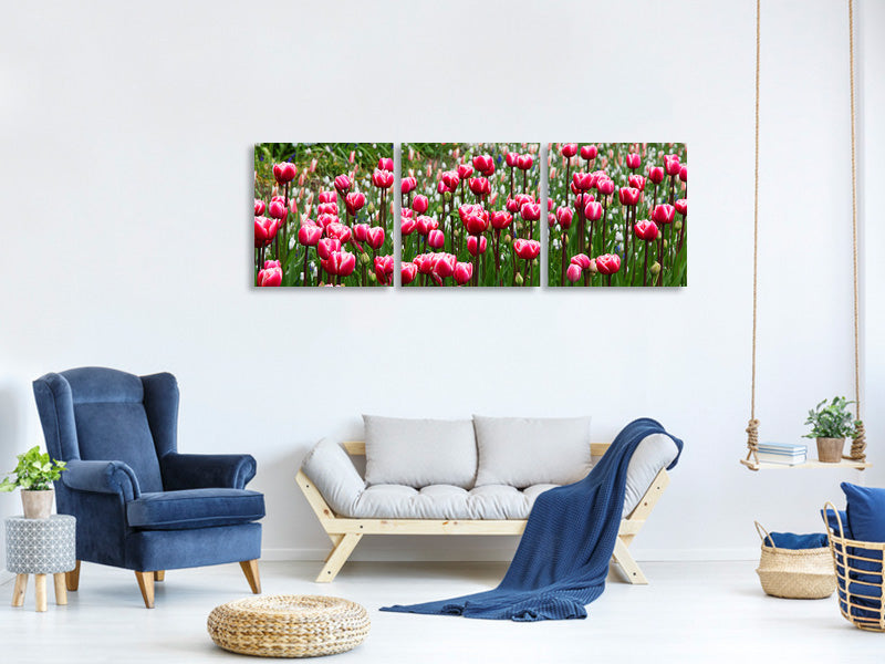 panoramic-3-piece-canvas-print-wild-tulip-field