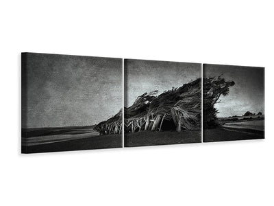 panoramic-3-piece-canvas-print-wind-blown