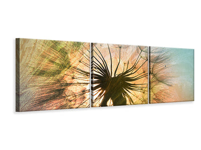 panoramic-3-piece-canvas-print-xxl-dandelion