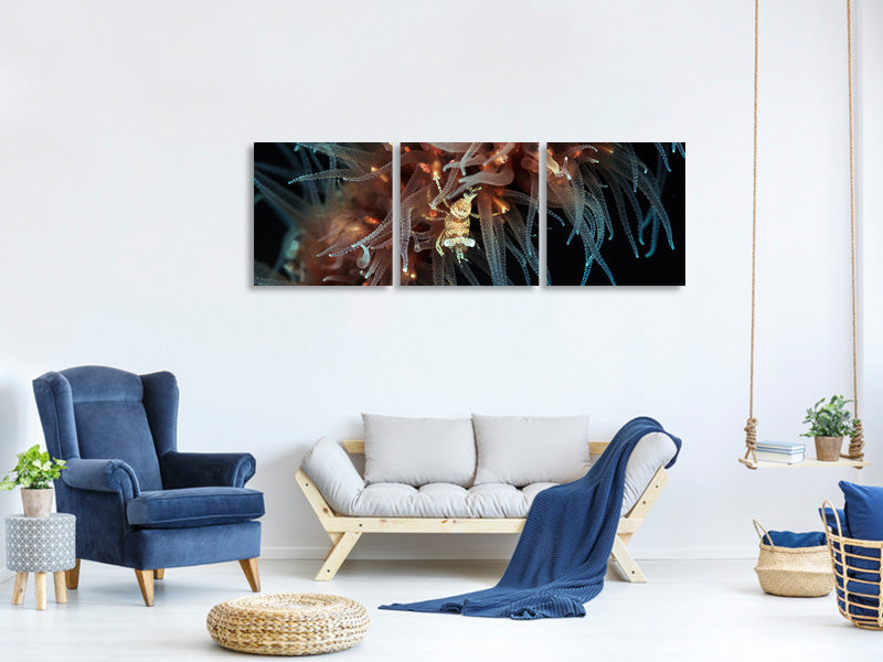 panoramic-3-piece-canvas-print-zanzibar-whip-coral-shrimp
