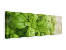 panoramic-canvas-print-a-bouquet-of-basil