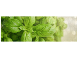 panoramic-canvas-print-a-bouquet-of-basil