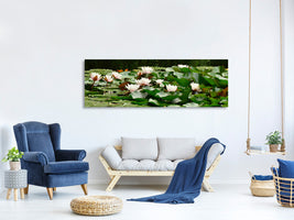 panoramic-canvas-print-a-field-full-of-water-lilies