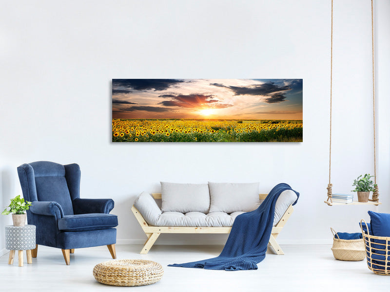 panoramic-canvas-print-a-field-of-sunflowers