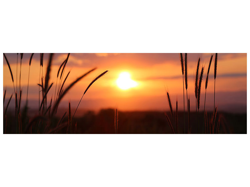 panoramic-canvas-print-adorable-sunset