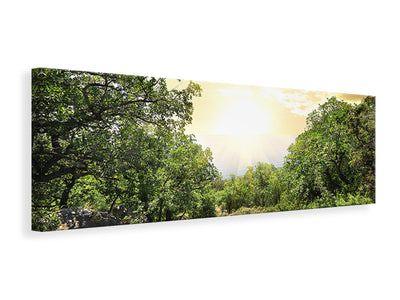 panoramic-canvas-print-at-the-end-of-the-forest