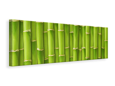 panoramic-canvas-print-bamboo-wall