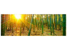 panoramic-canvas-print-bamboos