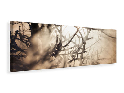 panoramic-canvas-print-branches-in-fog-light