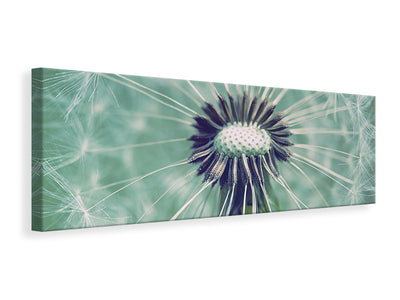 panoramic-canvas-print-close-up-dandelion