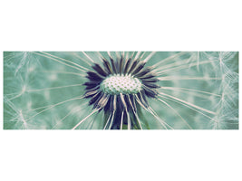panoramic-canvas-print-close-up-dandelion