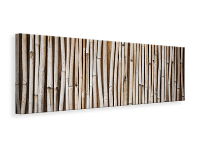panoramic-canvas-print-dried-bamboos