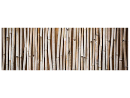 panoramic-canvas-print-dried-bamboos