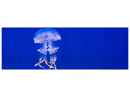 panoramic-canvas-print-glowing-jellyfish
