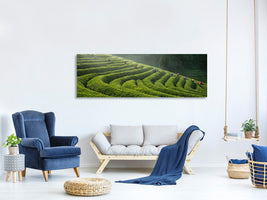 panoramic-canvas-print-green-tea-farm