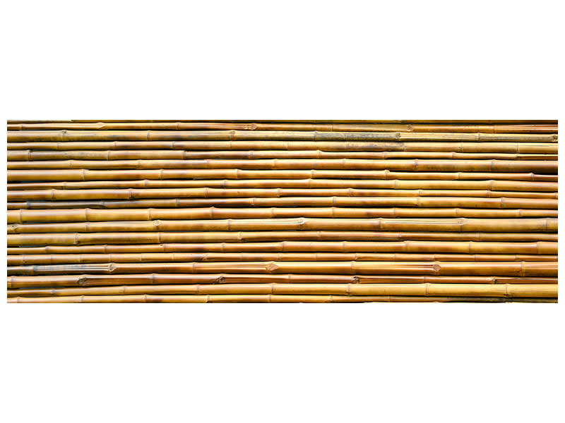 panoramic-canvas-print-horizontal-bamboo-wall