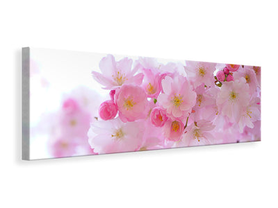 panoramic-canvas-print-japanese-cherry-blossom-xl
