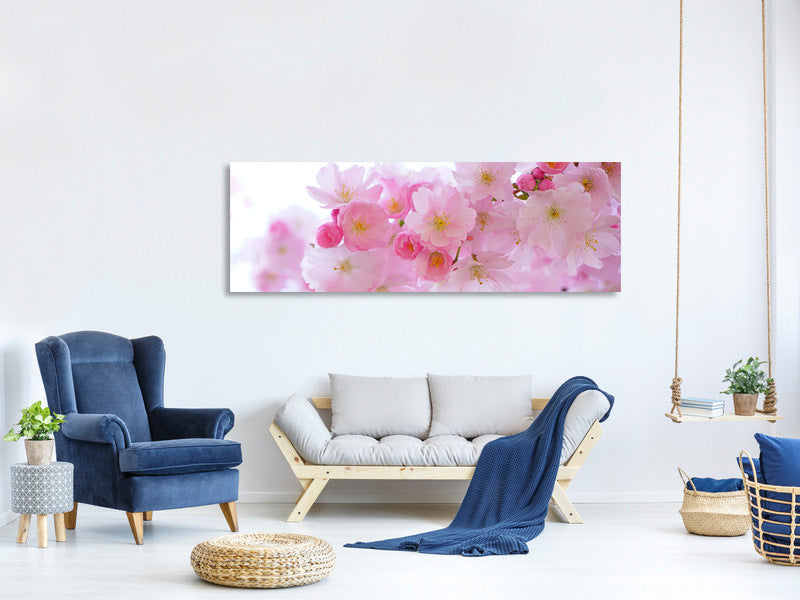 panoramic-canvas-print-japanese-cherry-blossom-xl