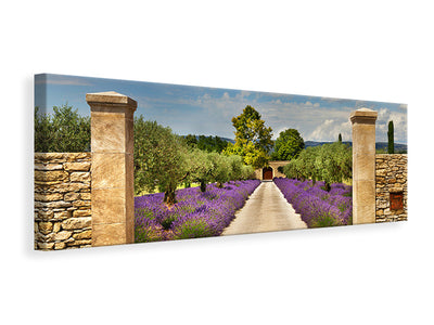 panoramic-canvas-print-lavender-garden