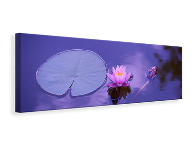 panoramic-canvas-print-lotus-flower