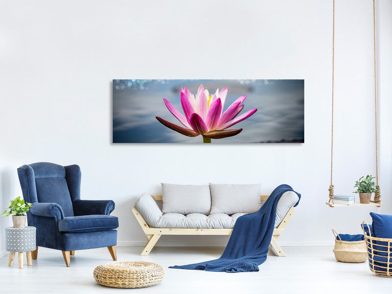 panoramic-canvas-print-lotus-in-the-morning-dew