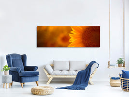 panoramic-canvas-print-macro-sunflower