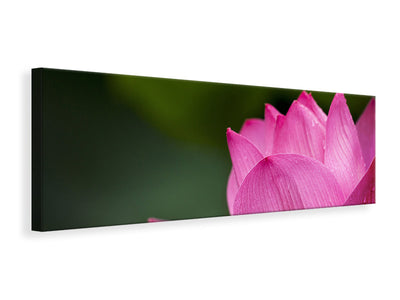 panoramic-canvas-print-marko-lotus-in-pink