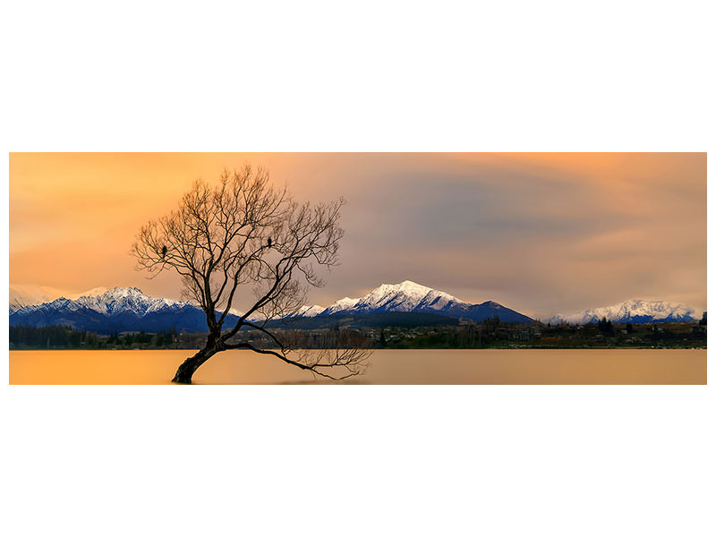 panoramic-canvas-print-morning-glow-of-the-lake-wanaka