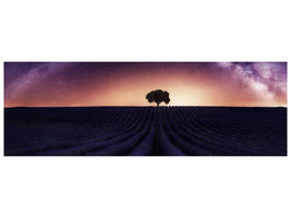 panoramic-canvas-print-my-lavander