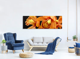 panoramic-canvas-print-orchids-with-orange-flowers