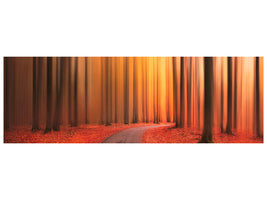 panoramic-canvas-print-path-to-unknown