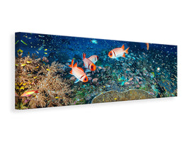 panoramic-canvas-print-reef-lifeii