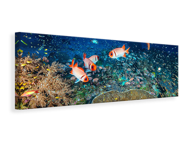 panoramic-canvas-print-reef-lifeii
