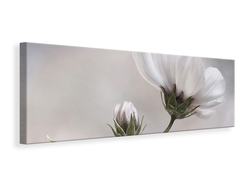 panoramic-canvas-print-simply-cosmos