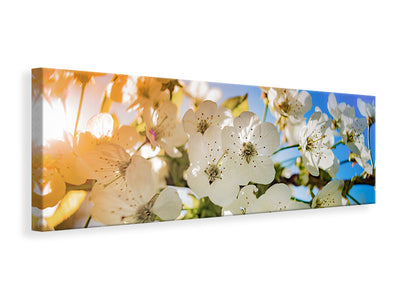 panoramic-canvas-print-the-apple-tree-blossom