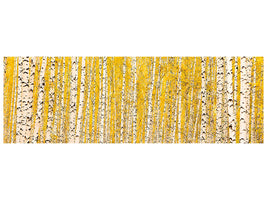 panoramic-canvas-print-the-birch-forest-in-autumn