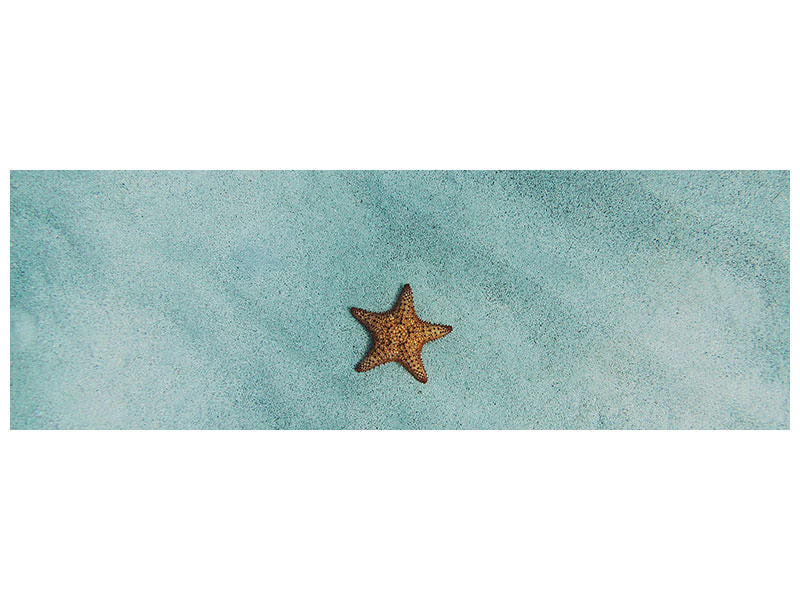 panoramic-canvas-print-the-little-starfish
