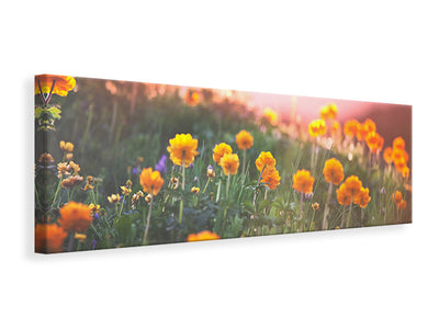 panoramic-canvas-print-the-mountain-meadow
