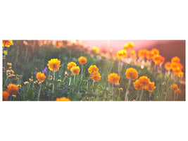 panoramic-canvas-print-the-mountain-meadow