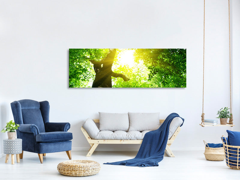 panoramic-canvas-print-tree
