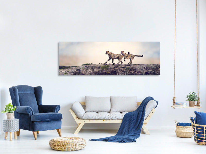 panoramic-canvas-print-two-cheetahs