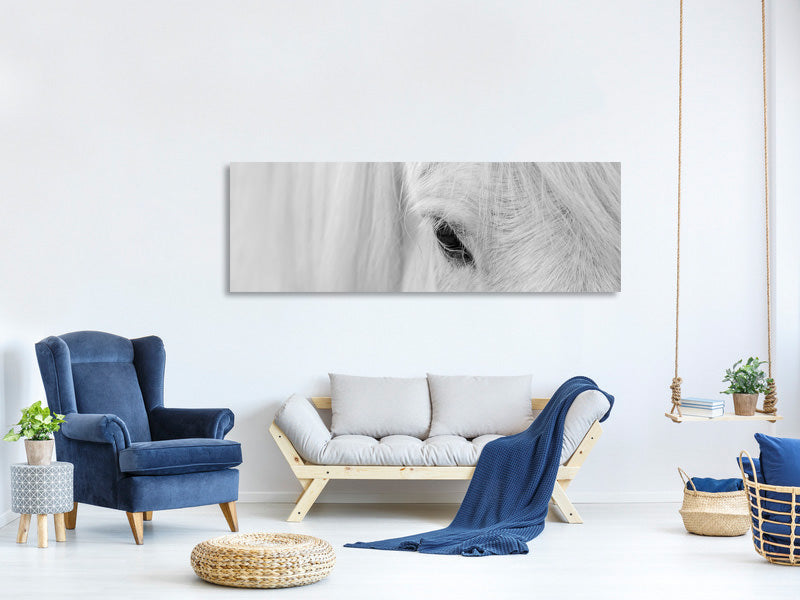 panoramic-canvas-print-whisper-of-iceland