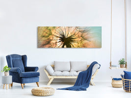 panoramic-canvas-print-xxl-dandelion