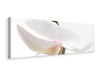 panoramic-canvas-print-xxl-orchid-flower
