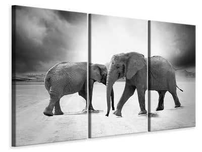 3-piece-canvas-print-2-elephants-sw