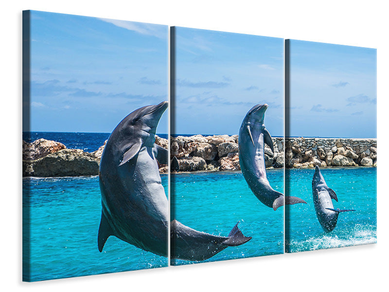 3-piece-canvas-print-3-dolphins