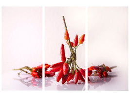 3-piece-canvas-print-a-bouquet-of-chili
