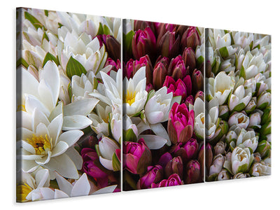 3-piece-canvas-print-a-bouquet-of-water-lilies