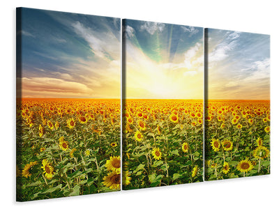 3-piece-canvas-print-a-field-full-of-sunflowers