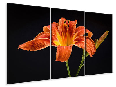3-piece-canvas-print-a-lily-flower-in-orange